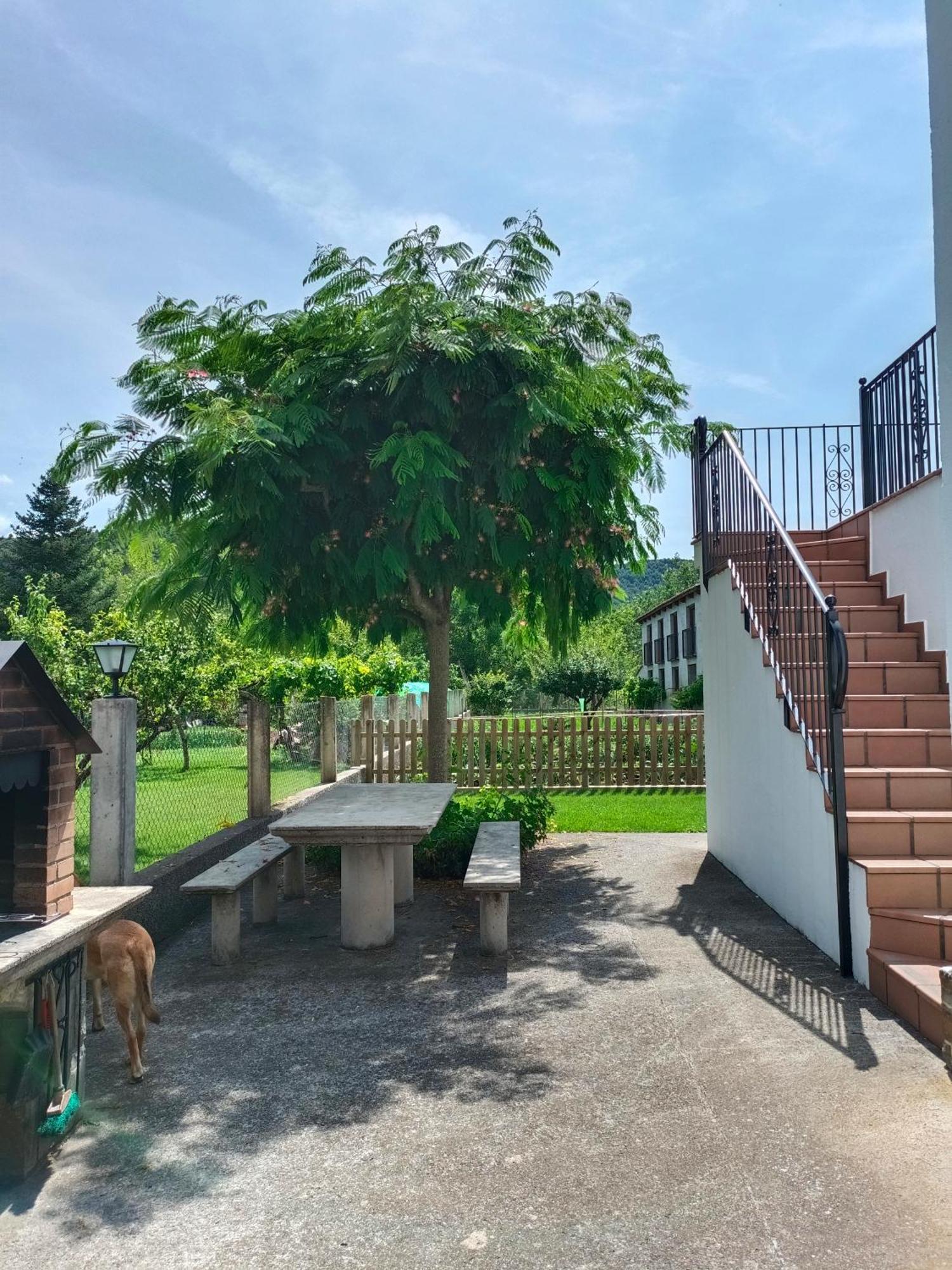 Apartamento Rural Casa Paco Con Jacuzzi Exterior Y Barbacoa Aínsa المظهر الخارجي الصورة